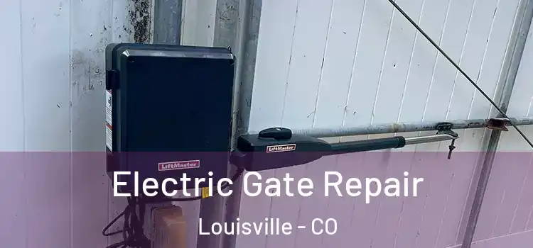 Electric Gate Repair Louisville - CO