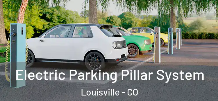 Electric Parking Pillar System Louisville - CO