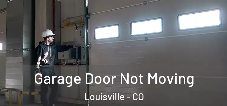  Garage Door Not Moving Louisville - CO