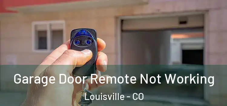  Garage Door Remote Not Working Louisville - CO