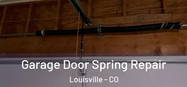  Garage Door Spring Repair Louisville - CO