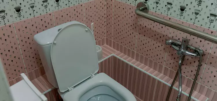 Meeting Diverse Needs With Accessible Restroom Solutions in Louisville, CO