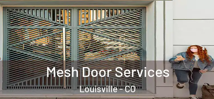 Mesh Door Services Louisville - CO