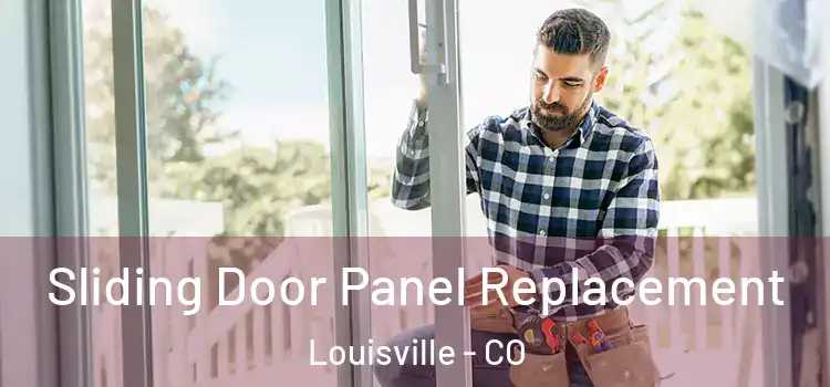  Sliding Door Panel Replacement Louisville - CO